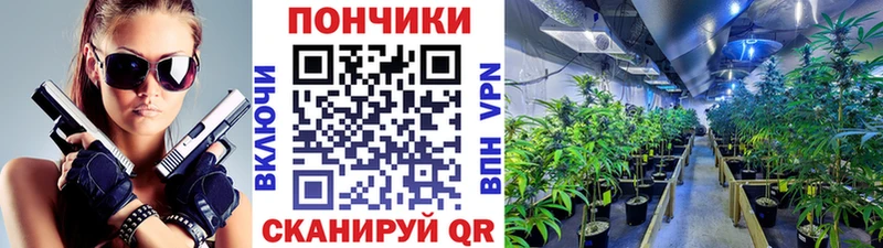 Канабис тримм  hydra tor  Чаплыгин  дарнет шоп 